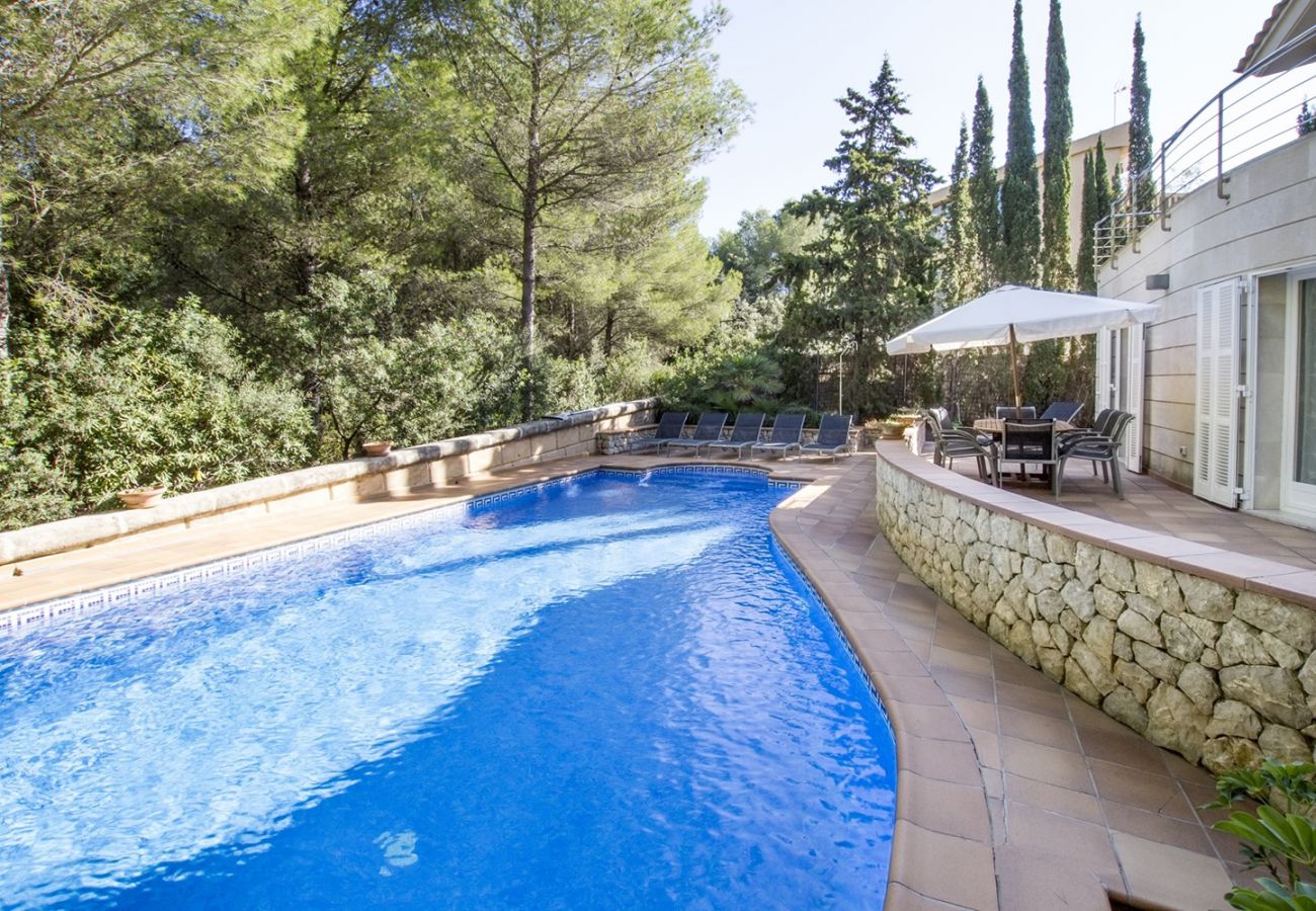 Poolbereich der Finca Can Bosc bei Alcudia