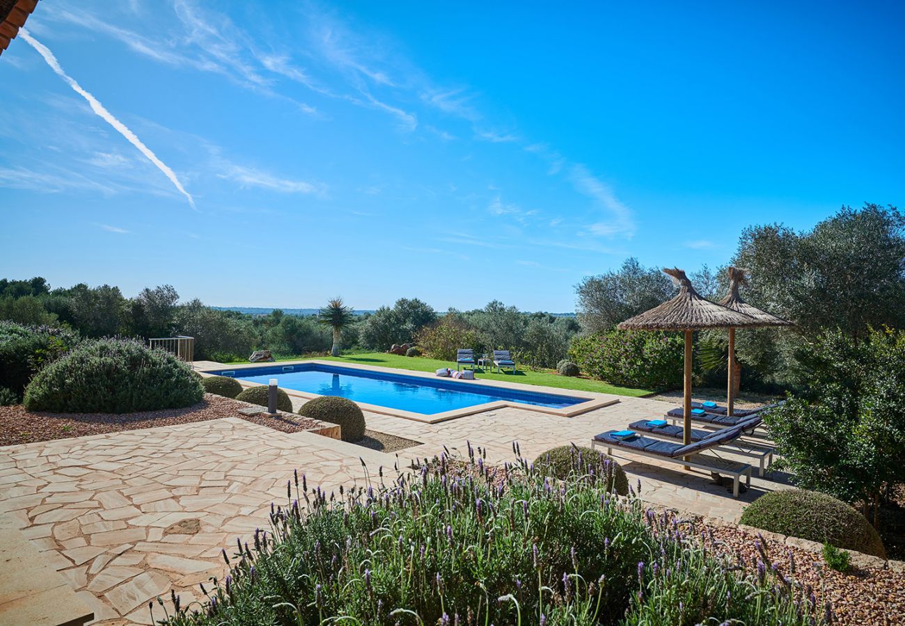 Pool und Garten der Finca Ses Salines bei Ses Salines