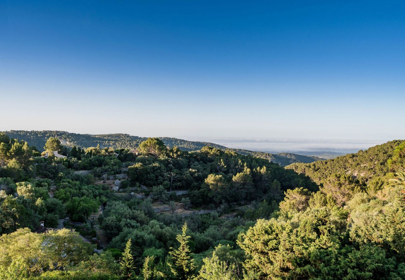 Finca in Galilea - Bella Roca