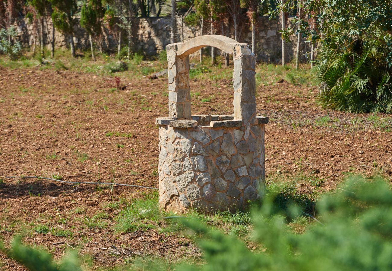 Finca in Cala Ratjada - Casa Johann