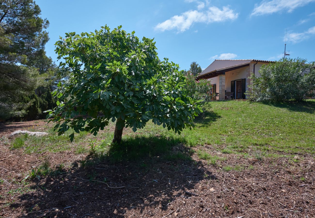 Finca in Cala Ratjada - Casa Johann